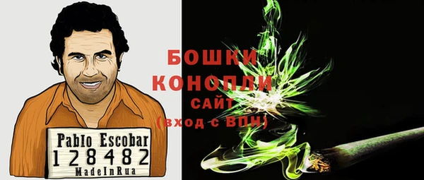 крисы Горняк