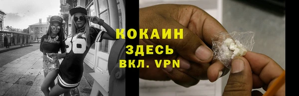 крисы Горняк
