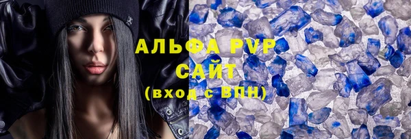 крисы Горняк