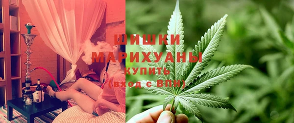 крисы Горняк