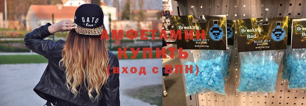 крисы Горняк