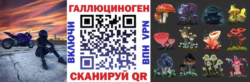 Псилоцибиновые грибы Psilocybine cubensis  Дмитровск 